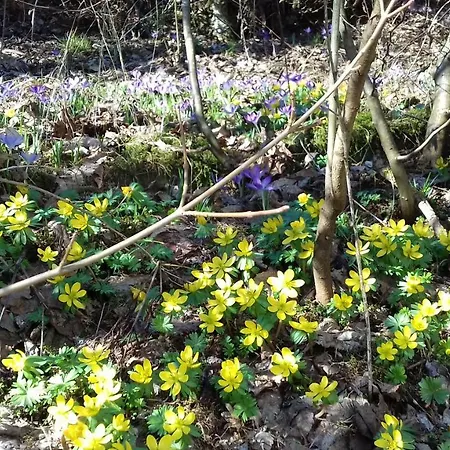 Rabenhorst بيت للعطل